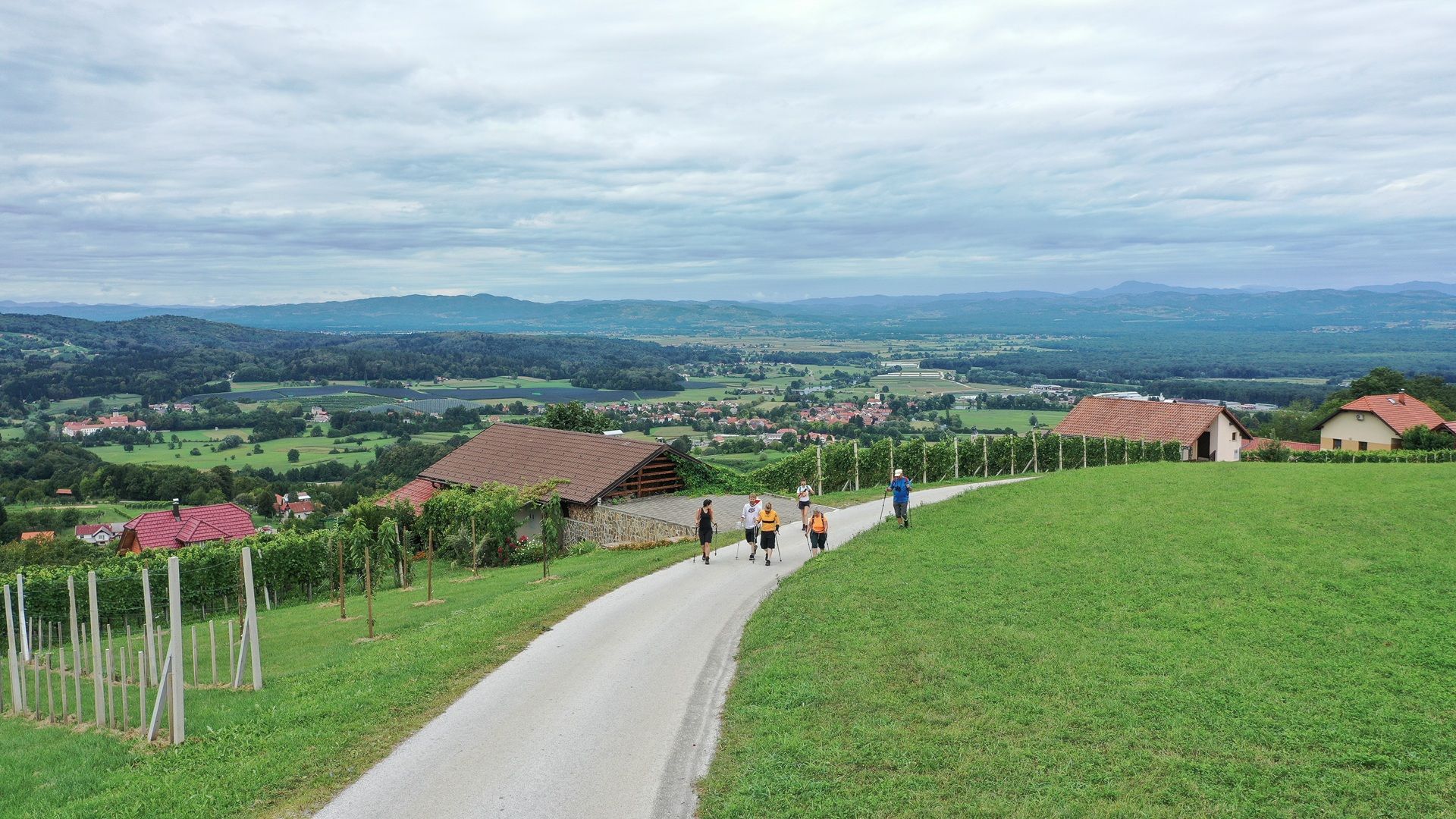 Fotografija skupine ljudi, ki hodijo po cesti, obdani z vinogradi.